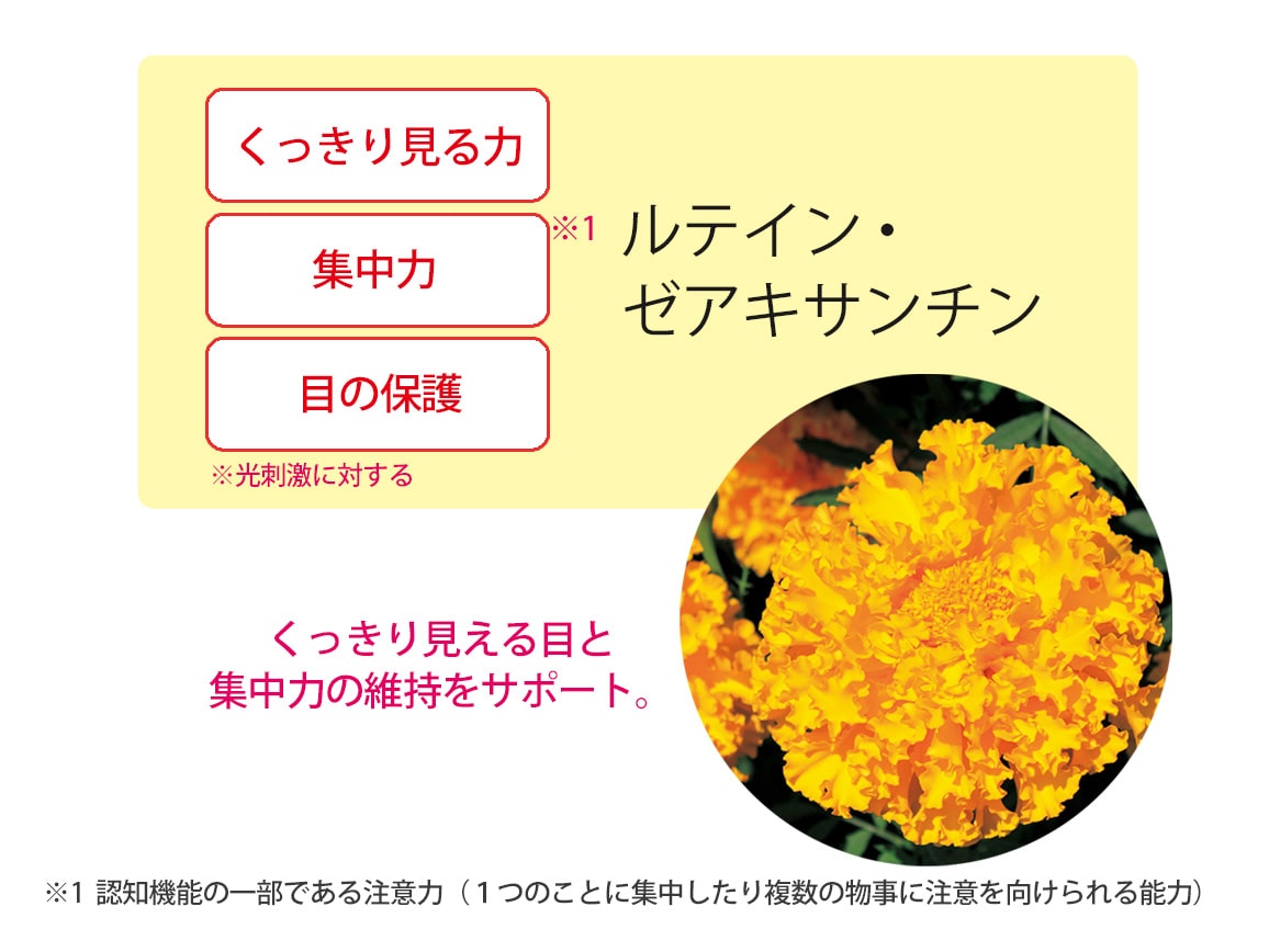 「定期おトク便」ハルメク 見るミカタ(1本)毎月お届けコース 「定期おトク便」ハルメク 見るミカタ(1本)毎月お届けコース