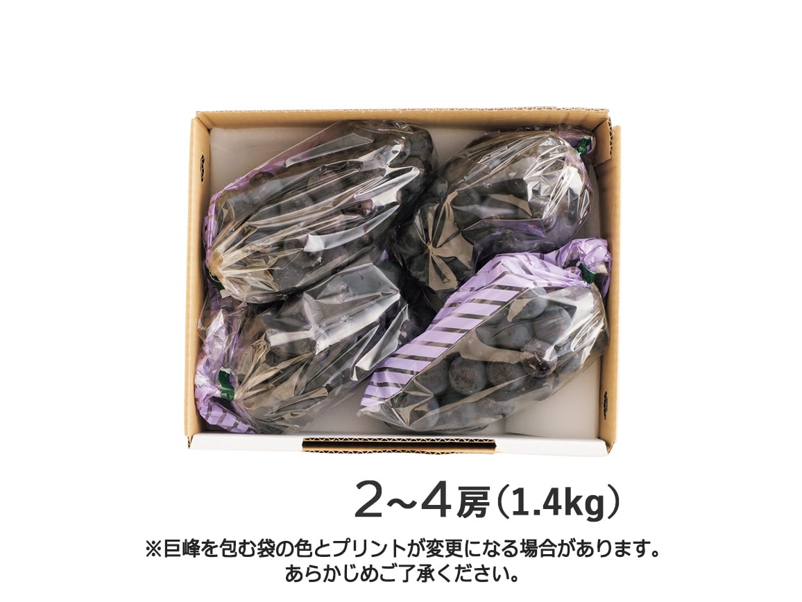 【送料込み価格】山梨県産巨峰(秀品)(1.4kg) 【送料込み価格】山梨県産巨峰(秀品)(1.4kg)