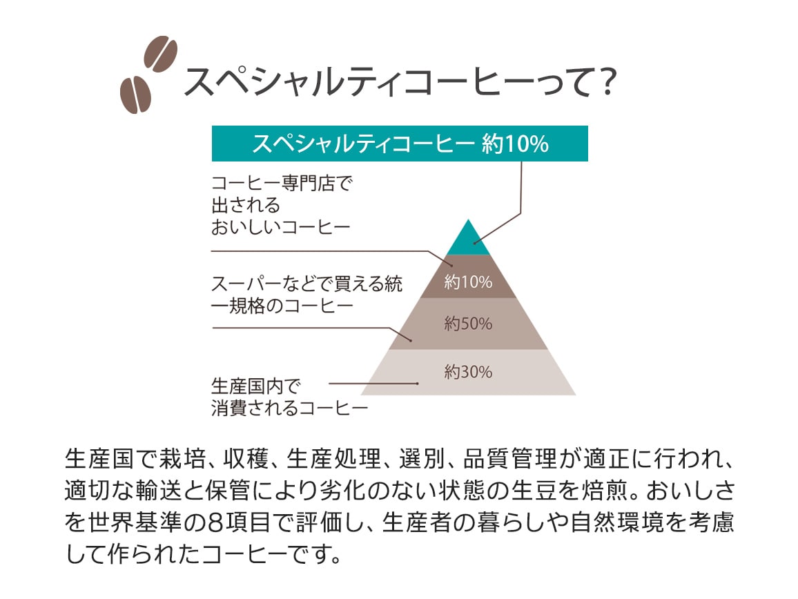 ンゴロ ンゴロ・水出しアイスコーヒー(15パック) ンゴロ ンゴロ・水出しアイスコーヒー(15パック)