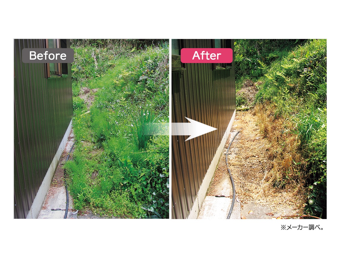 特許取得!植物性除草剤 1本 特許取得!植物性除草剤 1本