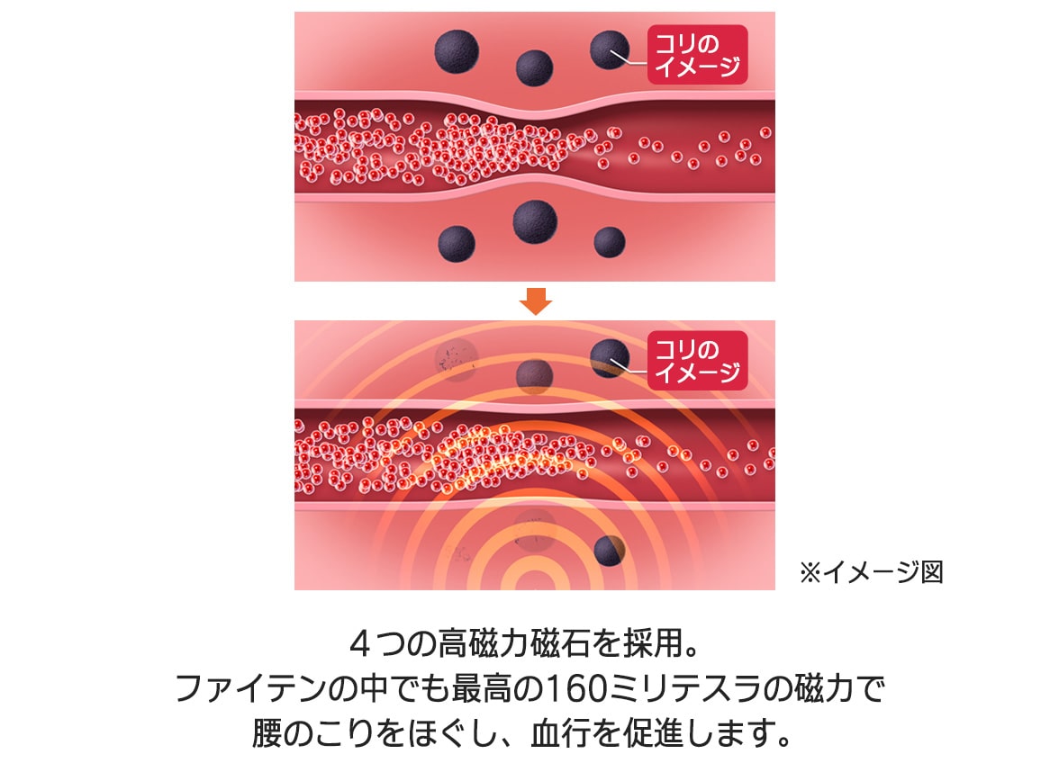 ファイテン 磁気治療腰サポーター ファイテン 磁気治療腰サポーター