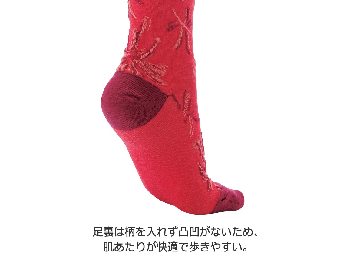 ロング丈ソックス4色セット ロング丈ソックス4色セット