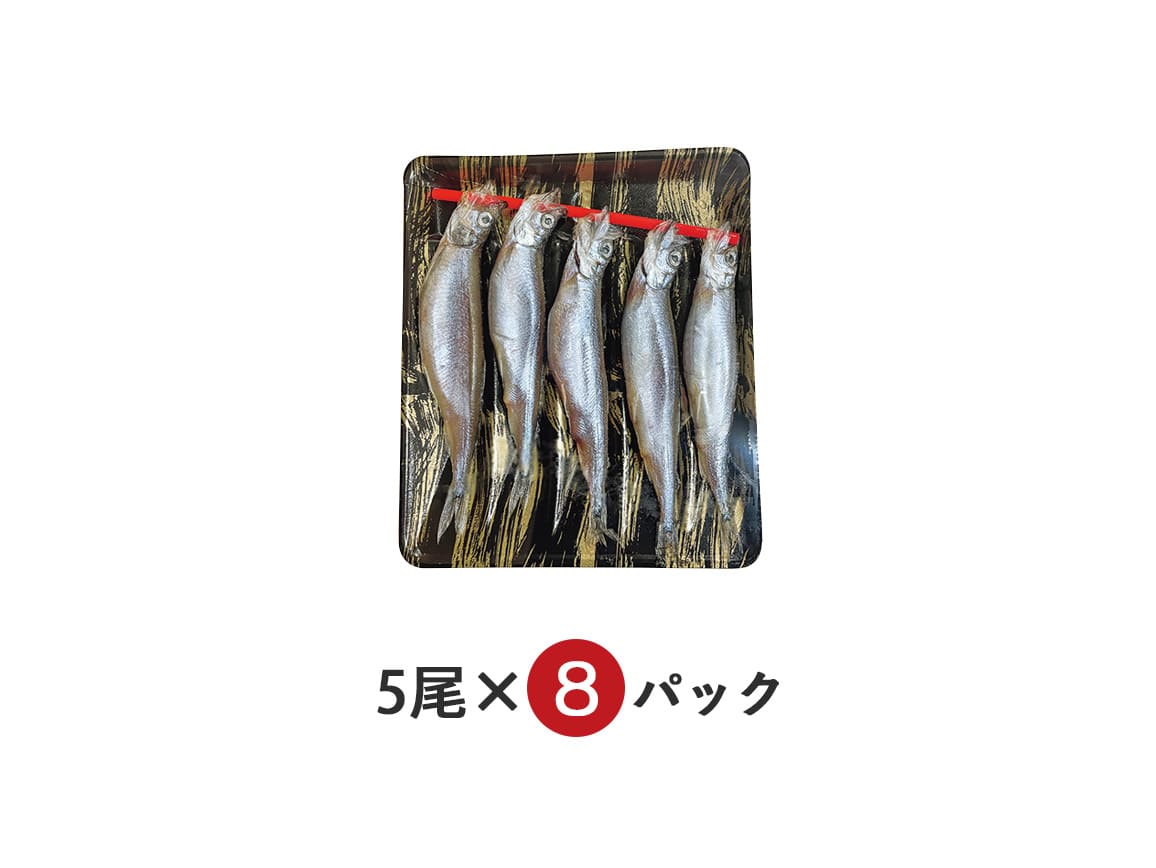 カナダ産 卵たっぷり超特大カラフトシシャモ(40尾) カナダ産 卵たっぷり超特大カラフトシシャモ(40尾)