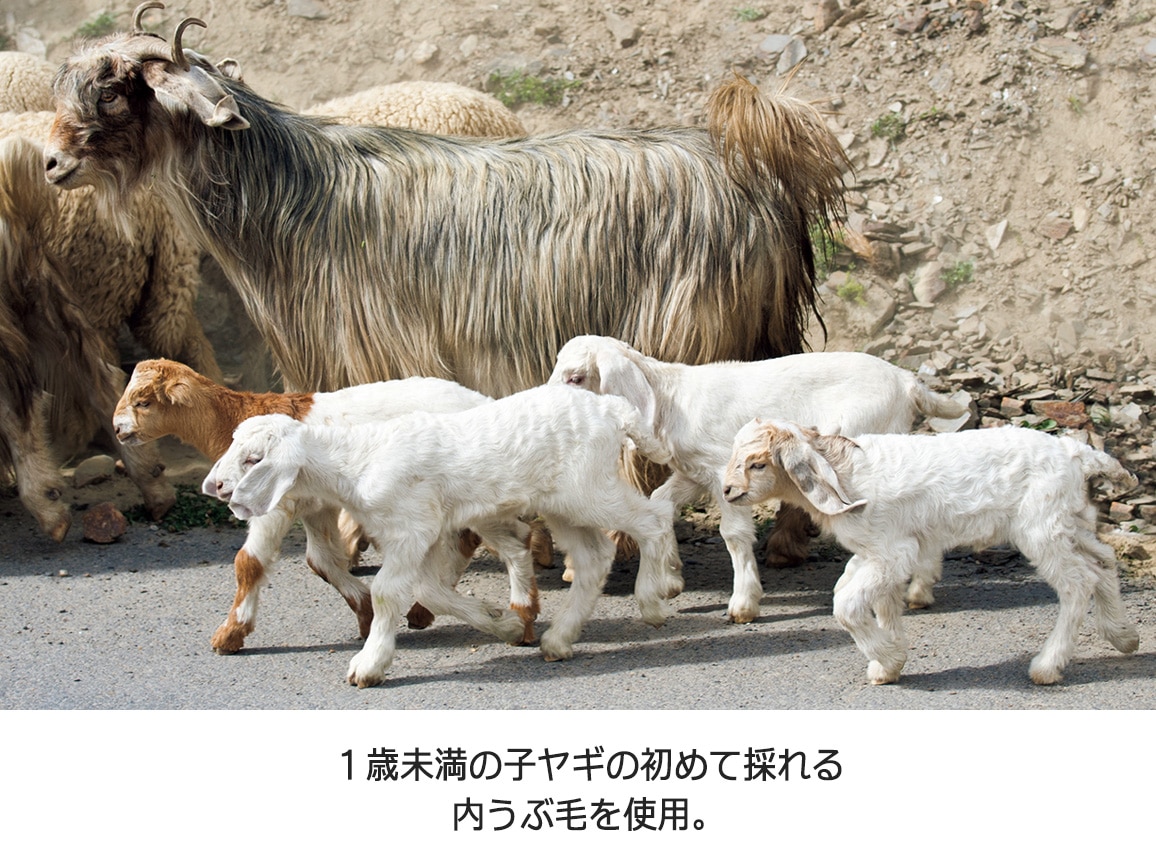 ふんわり軽やか ポケット付きカシミヤ大判ショール ふんわり軽やか ポケット付きカシミヤ大判ショール