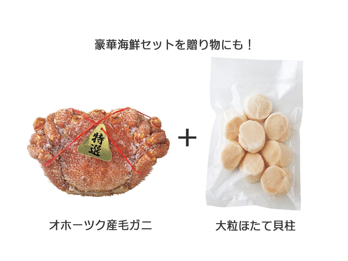 北海道 オホーツク産毛ガニと大粒ほたて貝柱セット 北海道 オホーツク産毛ガニと大粒ほたて貝柱セット