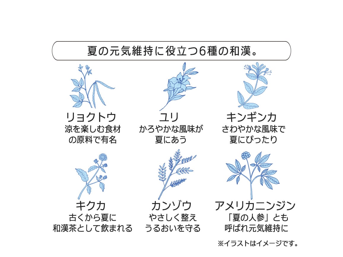 ハルメク 潤い塩ゼリー(60本) ハルメク 潤い塩ゼリー(60本)