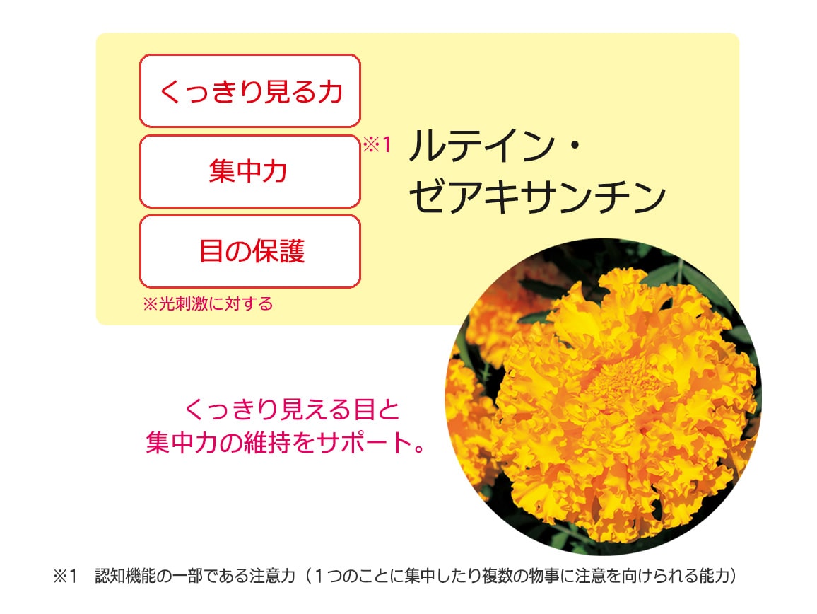 「定期おトク便」ハルメク 見るミカタ(1袋)毎月お届けコース 「定期おトク便」ハルメク 見るミカタ(1袋)毎月お届けコース