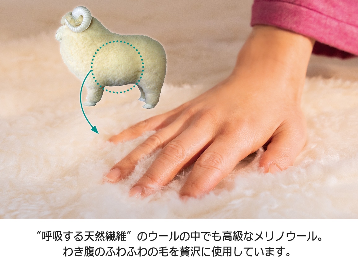 ザ・プレミアムソフゥール(R)掛け毛布(ダブル) ザ・プレミアムソフゥール(R)掛け毛布(ダブル)