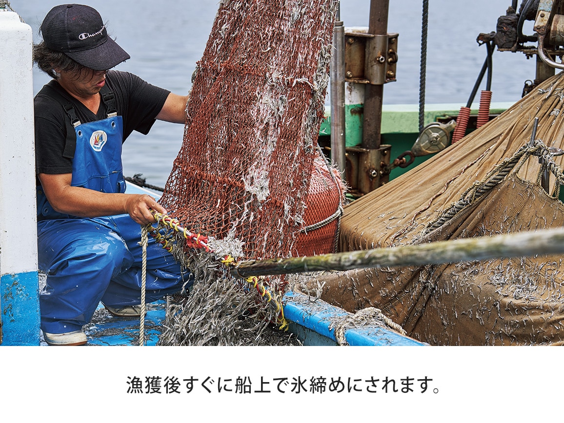 ハルメク しらすせんべい <えび入り>(4g16袋) ハルメク しらすせんべい <えび入り>(4g16袋)