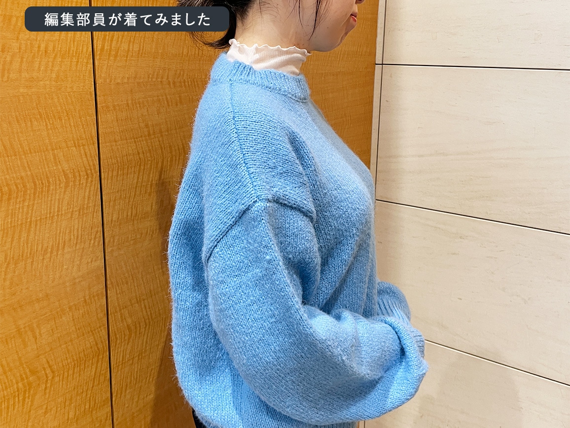 ハルメク ヘルスプラス・綿100%やわらかリブインナー(ハイネック長袖) ハルメク ヘルスプラス・綿100%やわらかリブインナー(ハイネック長袖)