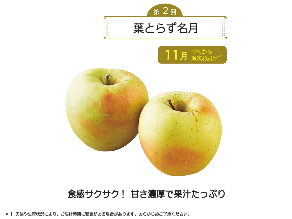【送料込み価格】青森葉とらずりんご産直便 全3回お届けコース 【送料込み価格】青森葉とらずりんご産直便 全3回お届けコース