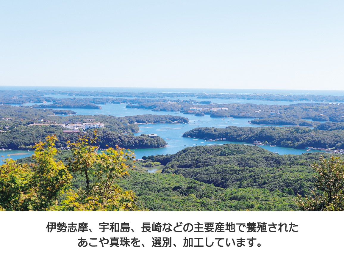 あこや真珠・ロングスルーペンダント あこや真珠・ロングスルーペンダント