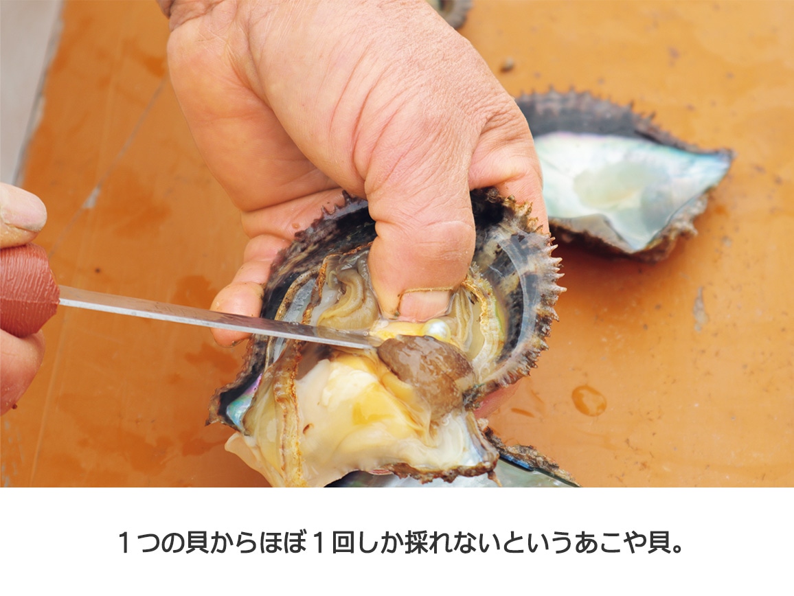 あこや真珠・ベビーパールネックレス あこや真珠・ベビーパールネックレス