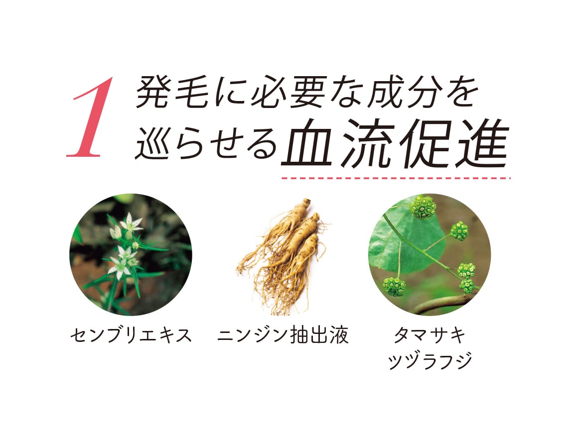 定期おトク便 セリジエ 薬用スカルプエッセンスctp 1本 60日コース 公式 ハルメク通販サイト