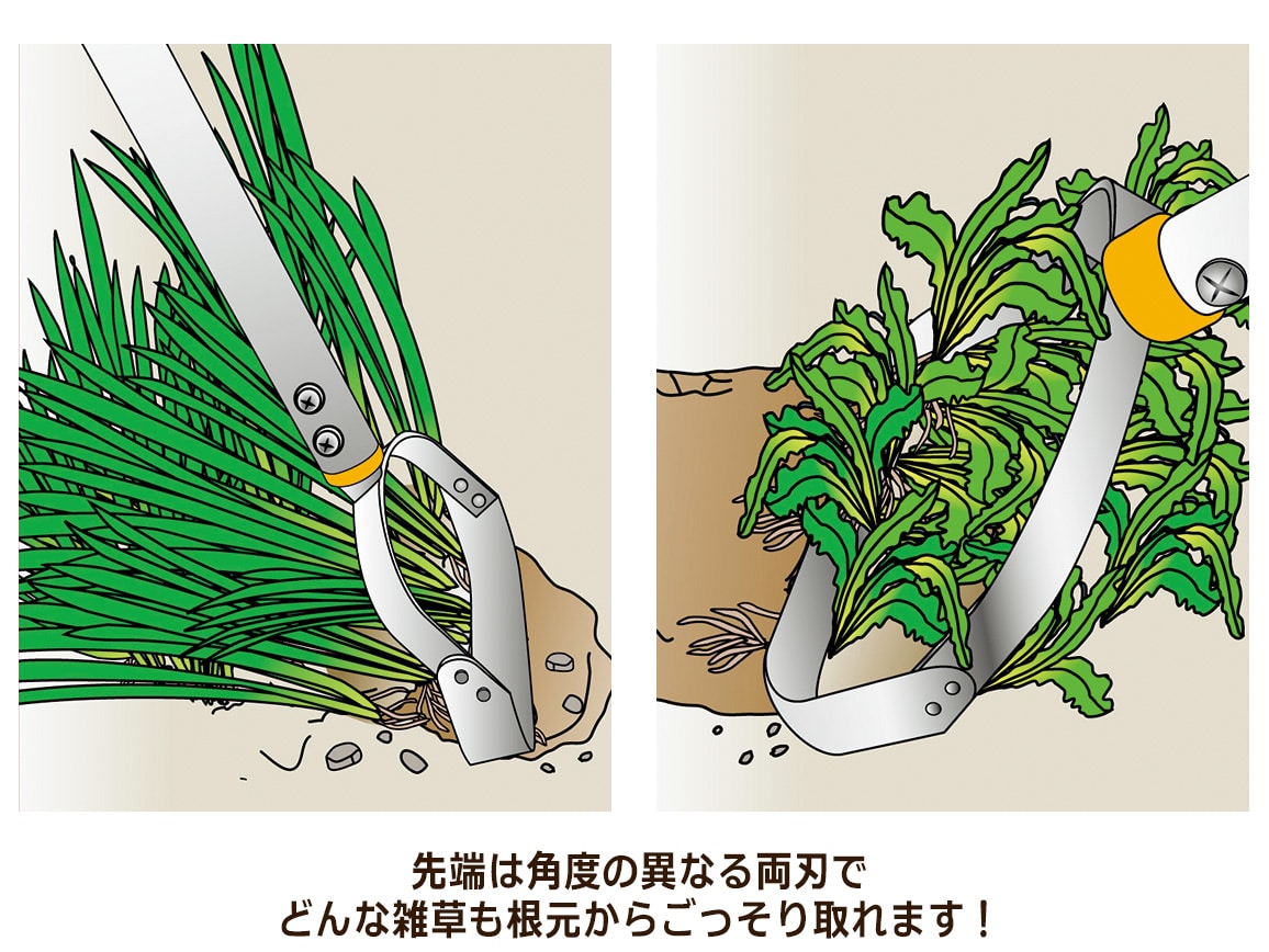 立ったまま根こそぎ雑草とり: ｜ カタログ通販のハルメク