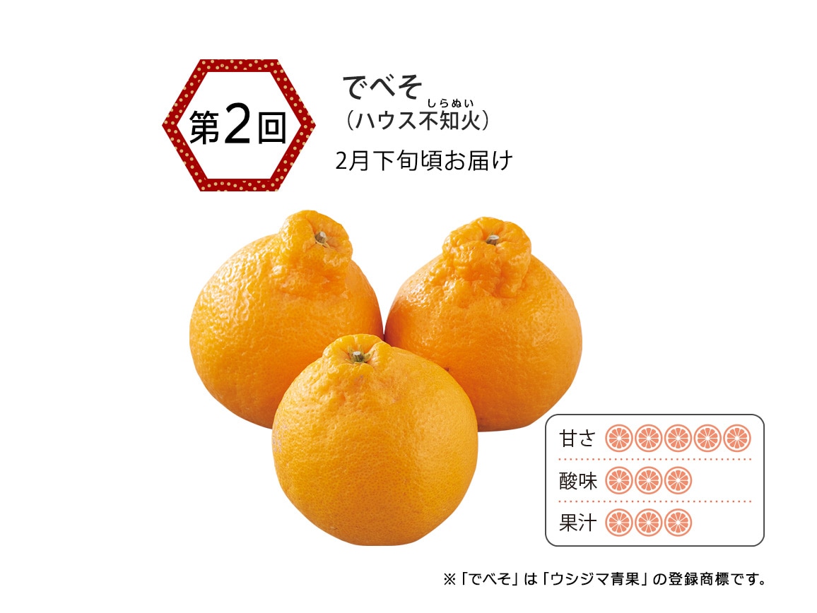 熊本ウシジマ青果 柑橘産直便(全3回) 熊本ウシジマ青果 柑橘産直便(全3回)