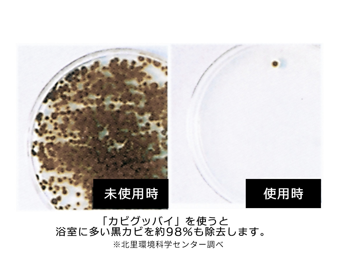 乳酸クリーナー カビグッバイ(2本組) 乳酸クリーナー カビグッバイ(2本組)