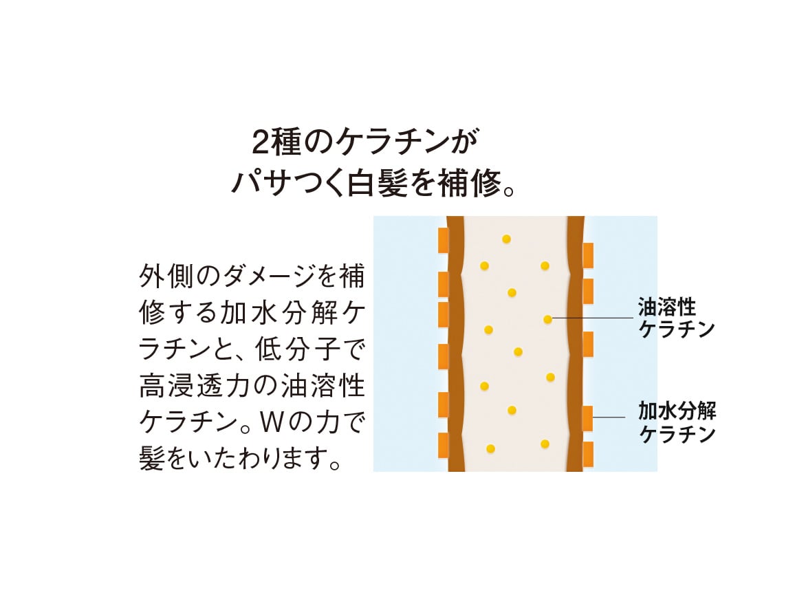ハルメク つや髪 白髪隠しファンデーション ハルメク つや髪 白髪隠しファンデーション