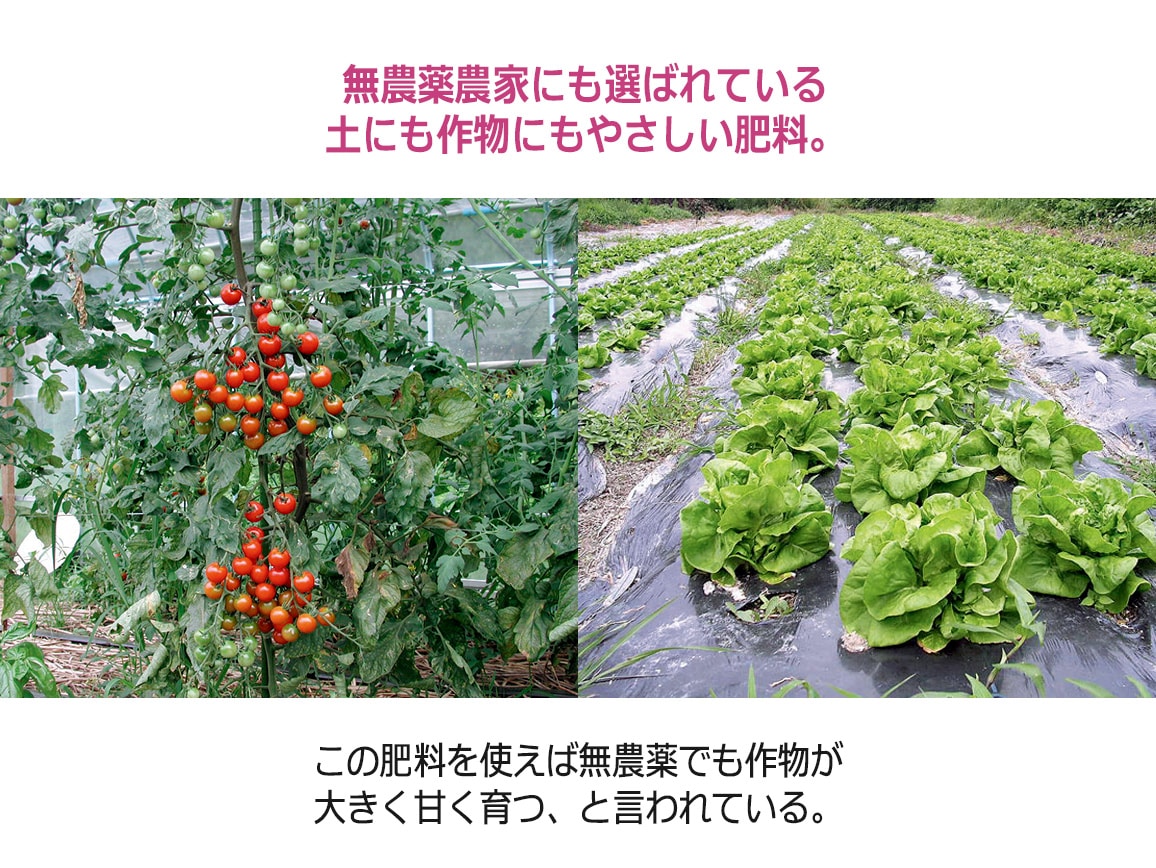 ニーム天然有機虫よけ肥料(2個組) ニーム天然有機虫よけ肥料(2個組)
