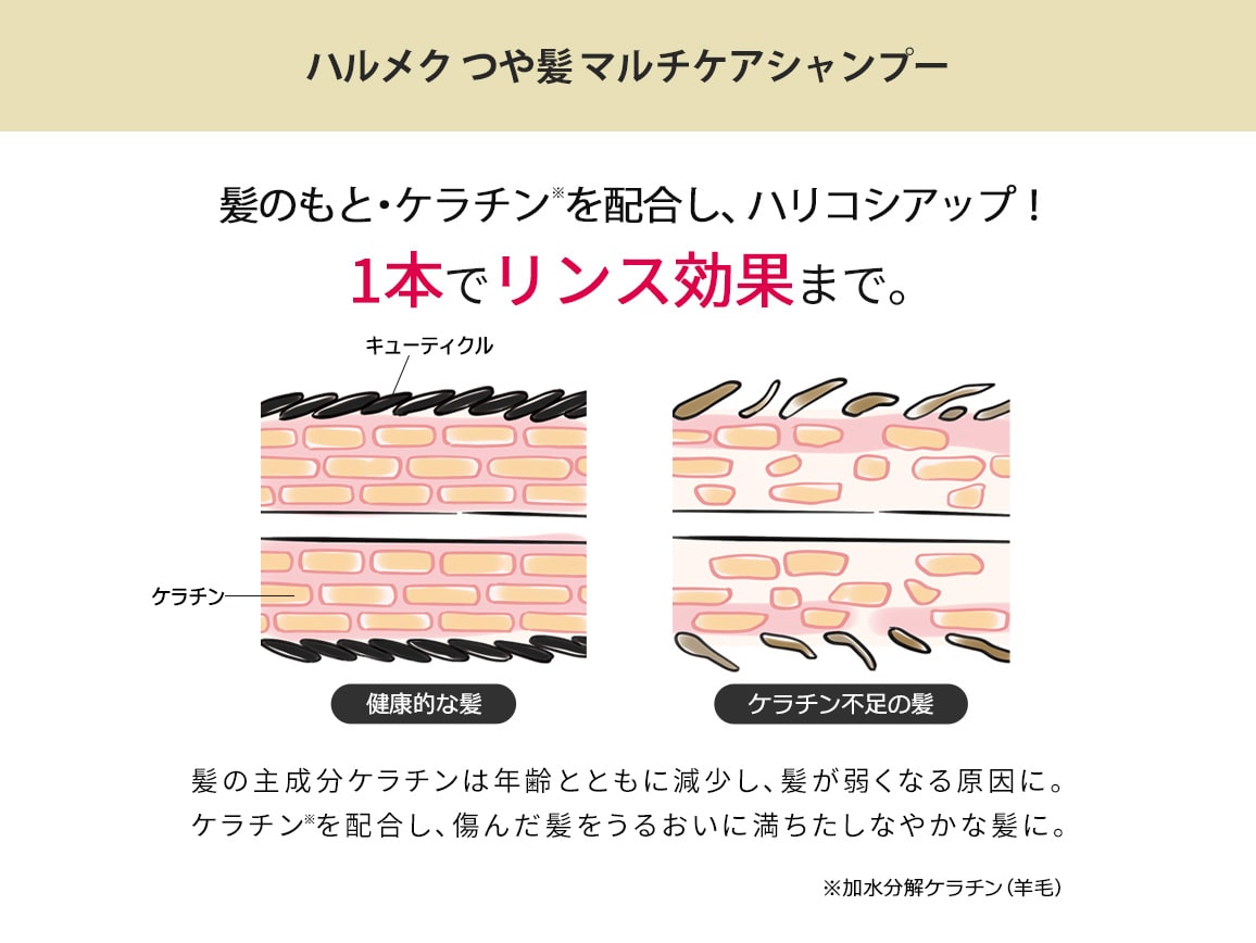 ハルメク つや髪 マルチケアシャンプー&ふんわり美髪ブラシセット(プレミアムロング) ハルメク つや髪 マルチケアシャンプー&ふんわり美髪ブラシセット(プレミアムロング)