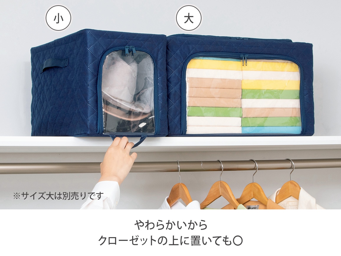 取り出しやすい防ダニ衣類収納ボックス(2個組) 小 取り出しやすい防ダニ衣類収納ボックス(2個組) 小