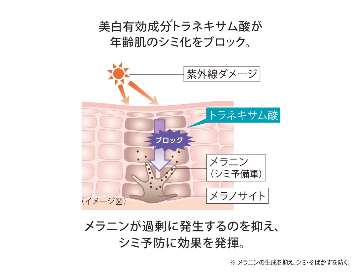ハルメク 薬用トータルエイジクリーム ミニ(旧タイプ) ハルメク 薬用トータルエイジクリーム ミニ(旧タイプ)