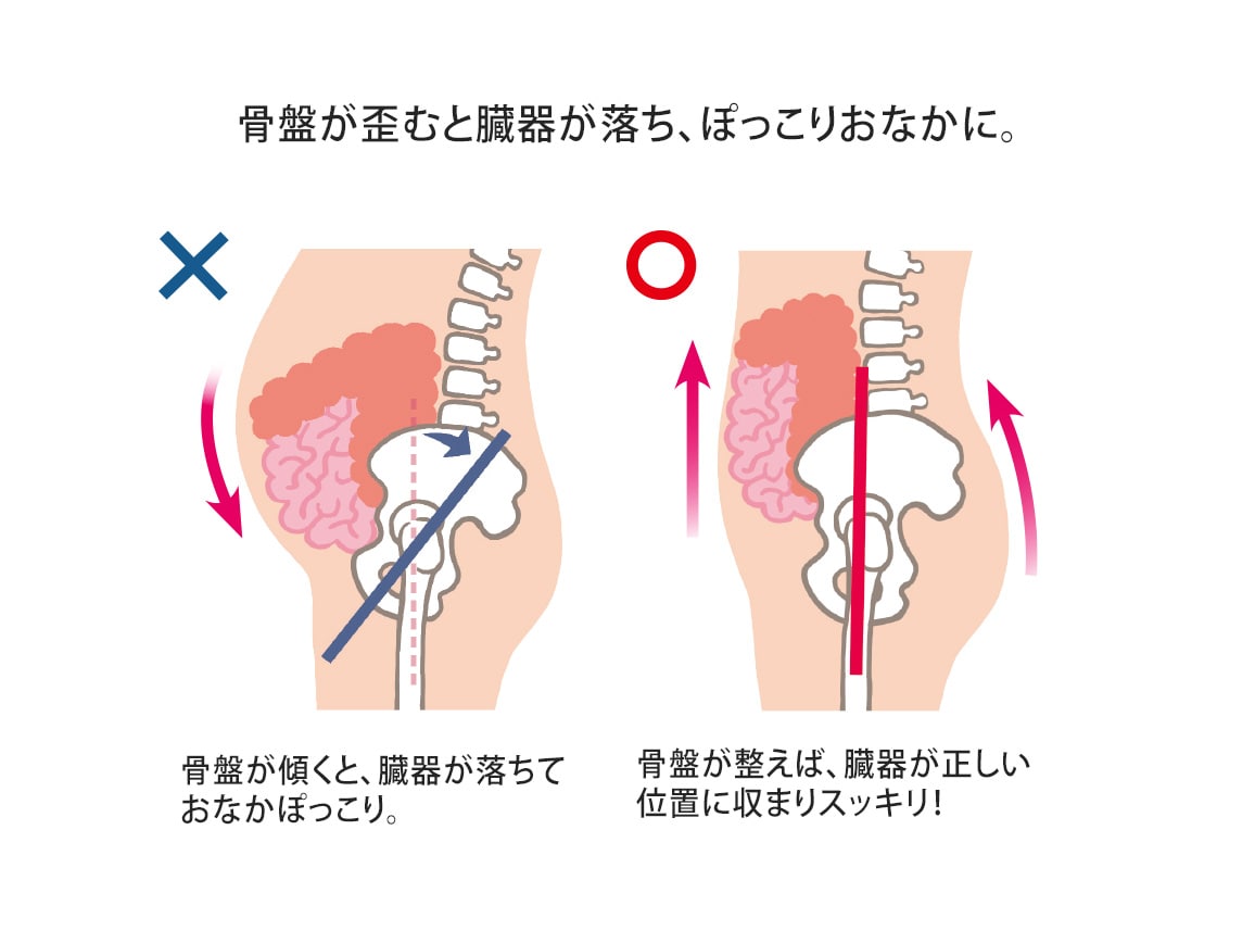 【返金保証】ハルメク 健康サポート・ヘルシーガードル(通年用) 【返金保証】ハルメク 健康サポート・ヘルシーガードル(通年用)