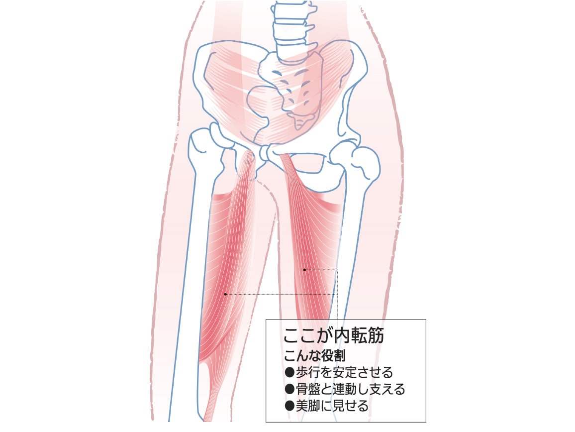 ハルメク ヘルスプラス・内転筋サポートスリムボトム【広告商品】 ハルメク ヘルスプラス・内転筋サポートスリムボトム【広告商品】