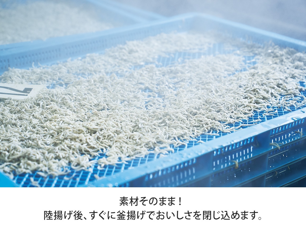 ハルメク しらすせんべい<えび入り>(4g8袋) ハルメク しらすせんべい<えび入り>(4g8袋)