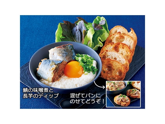ハルメク 国産鯖の味噌煮缶(12缶)リーフレット付 ハルメク 国産鯖の味噌煮缶(12缶)リーフレット付
