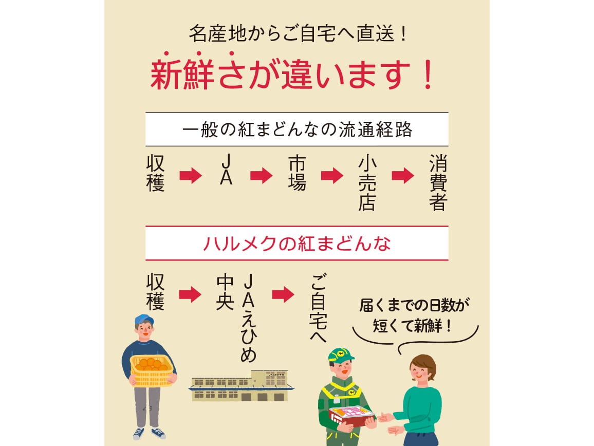 【送料込み価格】愛媛県産 紅まどんな(1.7Kg) 【送料込み価格】愛媛県産 紅まどんな(1.7Kg)