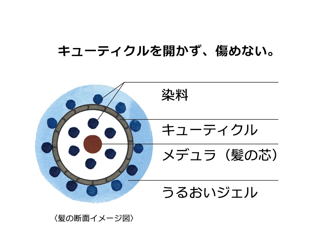 ハルメク つや髪 プラチナグレイカラー 3本組 感謝市限定セット ハルメク つや髪 プラチナグレイカラー 3本組 感謝市限定セット