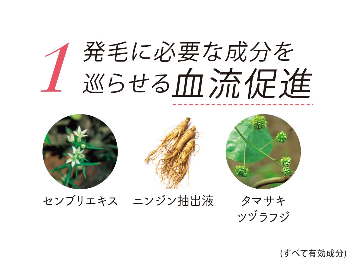 ハルメク 薬用スカルプエッセンスTKG&ふんわり美髪ブラシセット(プレミアムロング) ハルメク 薬用スカルプエッセンスTKG&ふんわり美髪ブラシセット(プレミアムロング)