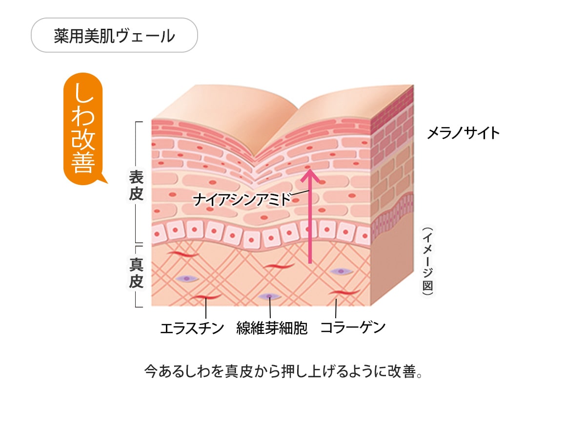 ハルメク 薬用美肌ヴェール&ファンデーションブラシセット ハルメク 薬用美肌ヴェール&ファンデーションブラシセット