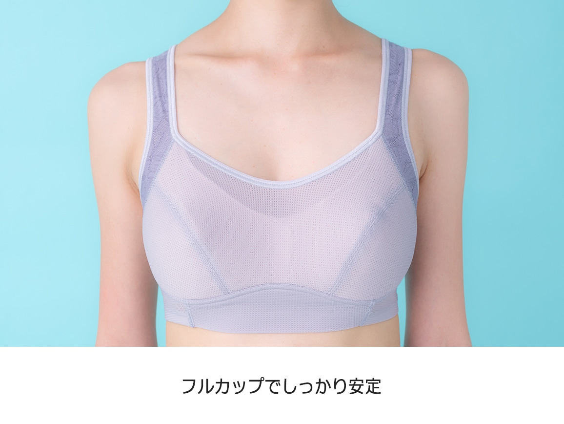 ハルメク　姿勢かろやかブラ　2枚　Lサイズ ハルメク ヘルスプラス・背すじシャキッと美胸ブラ（旧タイプ