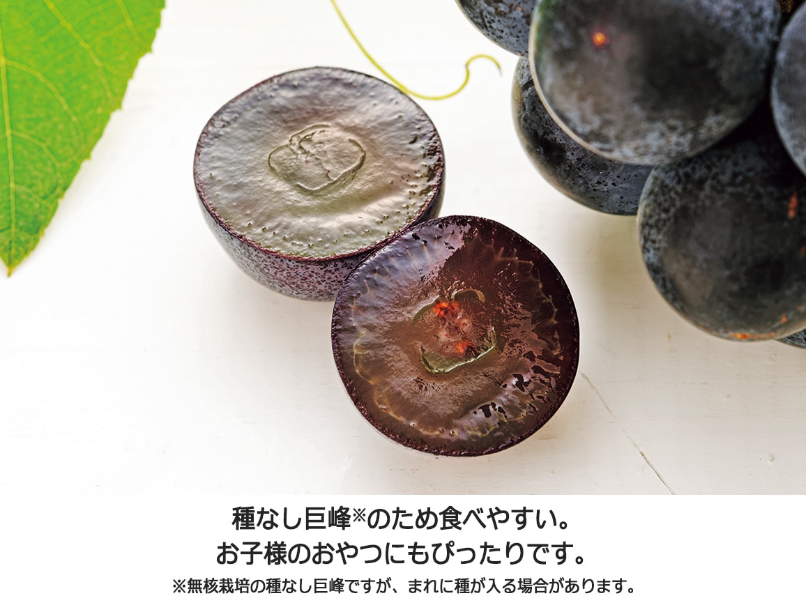 【送料込み価格】山梨県産巨峰(秀品)(1.4kg) 【送料込み価格】山梨県産巨峰(秀品)(1.4kg)