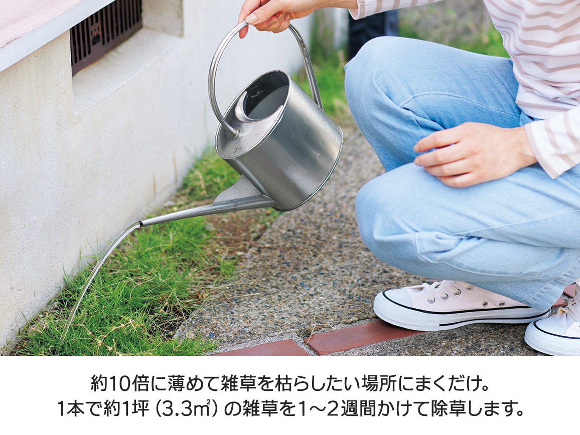特許取得!植物性除草剤 1本 特許取得!植物性除草剤 1本