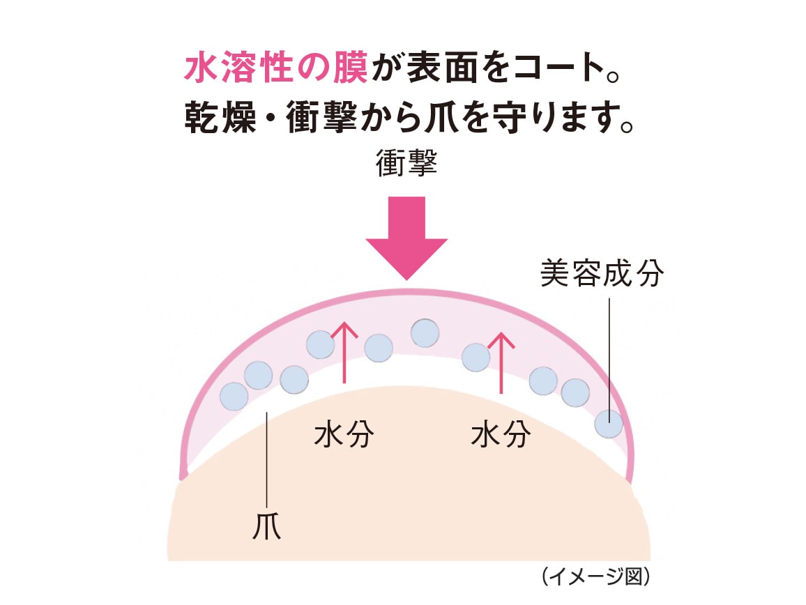 ハルメク モイスト爪補強コート ハルメク モイスト爪補強コート