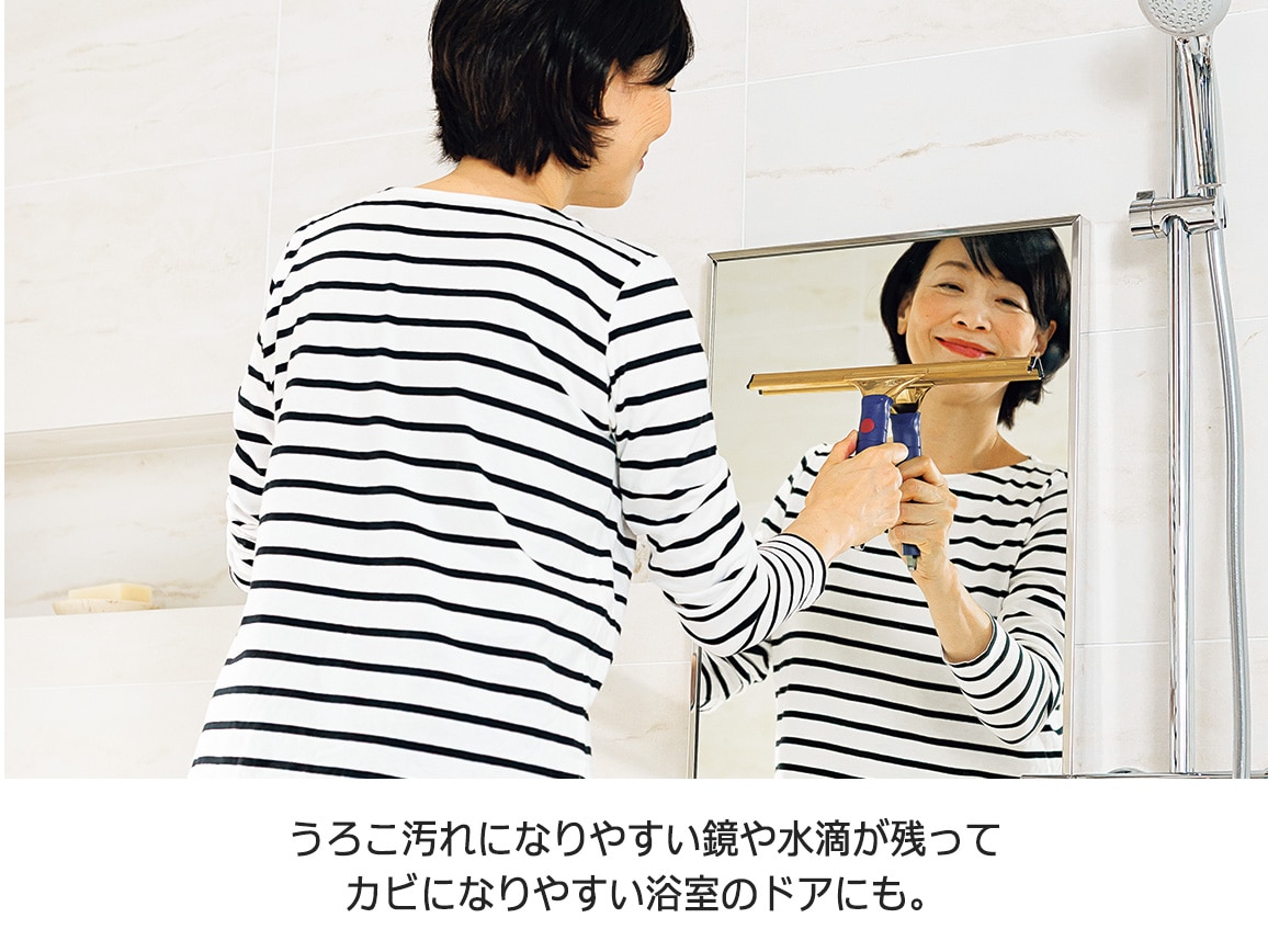 高いところもラクに水切り プロ愛用スクイジー ミニハンドルセット 高いところもラクに水切り プロ愛用スクイジー ミニハンドルセット