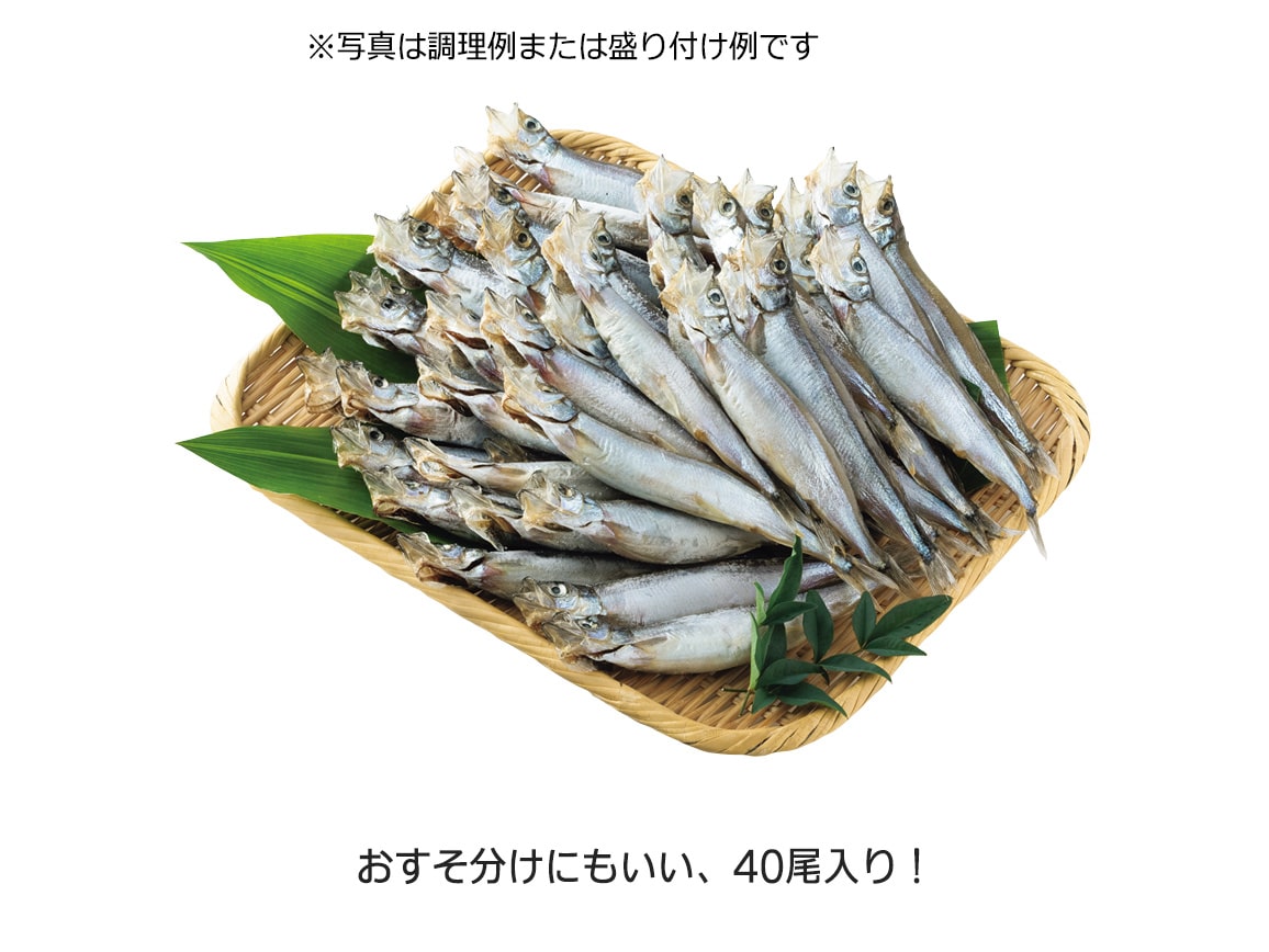 カナダ産 卵たっぷり超特大カラフトシシャモ(40尾) カナダ産 卵たっぷり超特大カラフトシシャモ(40尾)