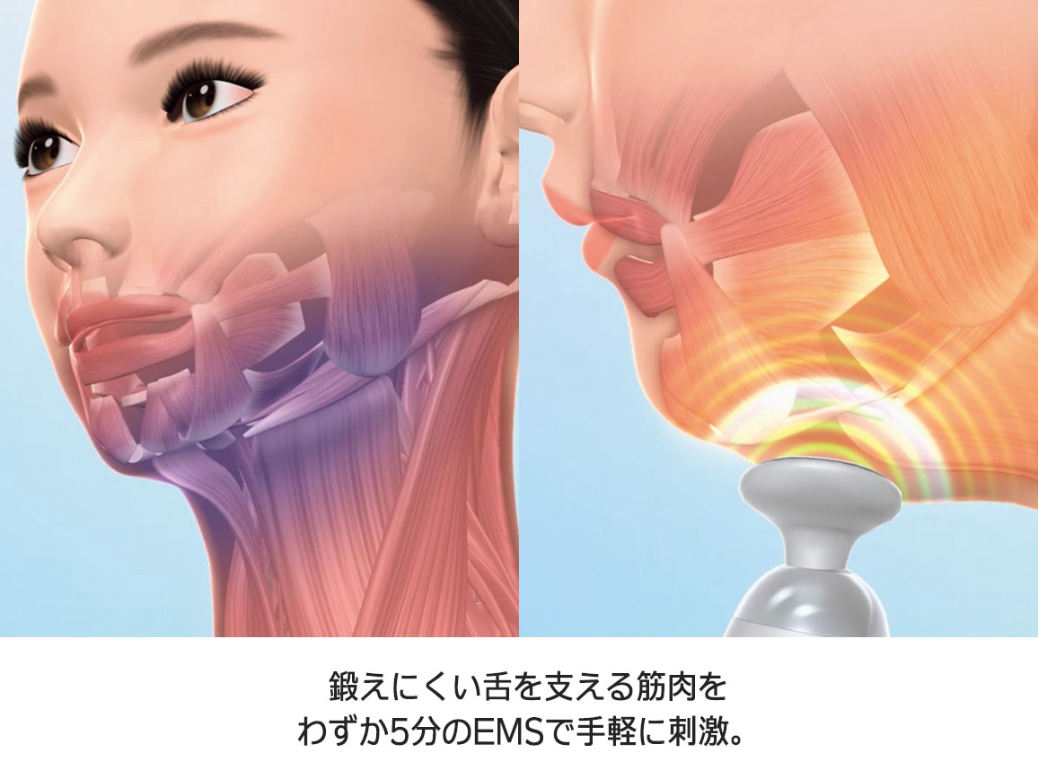 フィットネスクラブが作った スタイリーフェイス フィットネスクラブが作った スタイリーフェイス