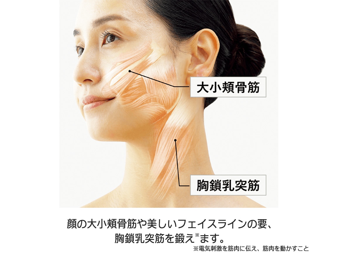 ヤーマン リフトロジー ヤーマン リフトロジー