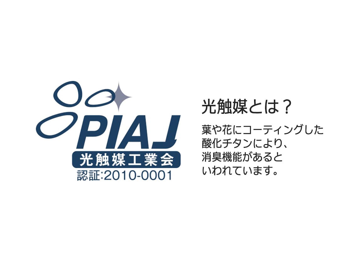光触媒加工 グリーンミックスマット 光触媒加工 グリーンミックスマット