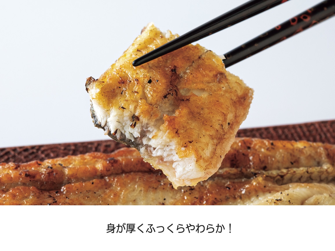 福岡柳川「龍川魚商店」うなぎ長焼き2種(2尾) 福岡柳川「龍川魚商店」うなぎ長焼き2種(2尾)