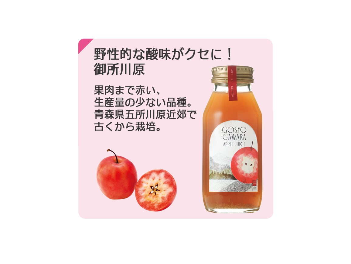 ひとつひとつのリンゴジュース(5本) ひとつひとつのリンゴジュース(5本)