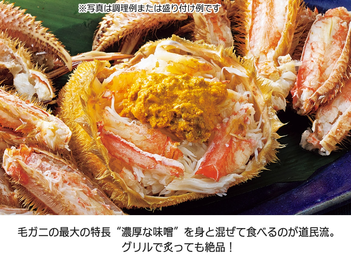 北海道 オホーツク産毛ガニと大粒ほたて貝柱セット 北海道 オホーツク産毛ガニと大粒ほたて貝柱セット