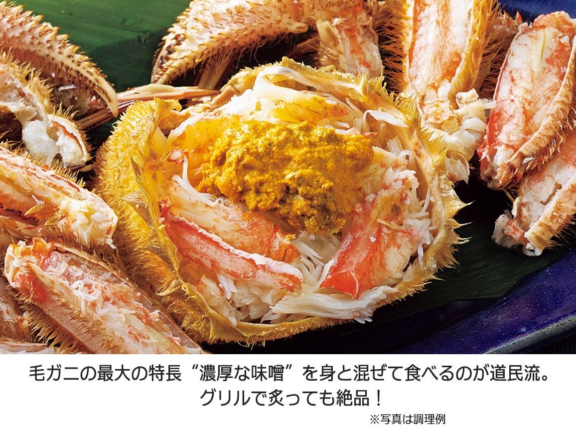 北海道オホーツク産 毛ガニ(1杯) 北海道オホーツク産 毛ガニ(1杯)