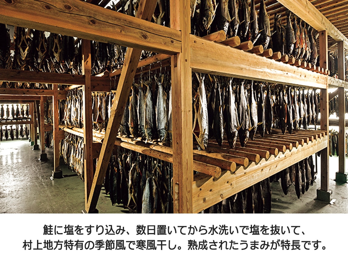 新潟村上の塩引鮭(焼き加工済み)(5袋) 新潟村上の塩引鮭(焼き加工済み)(5袋)