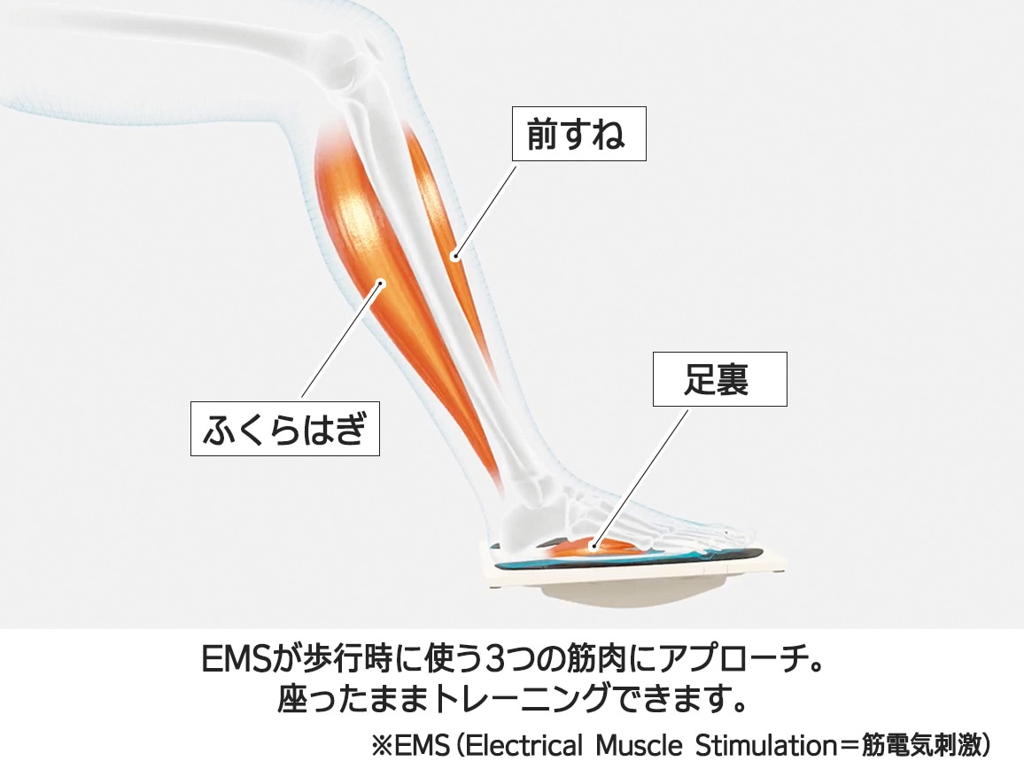 SIXPAD フットフィット3 コンパクト SIXPAD フットフィット3 コンパクト