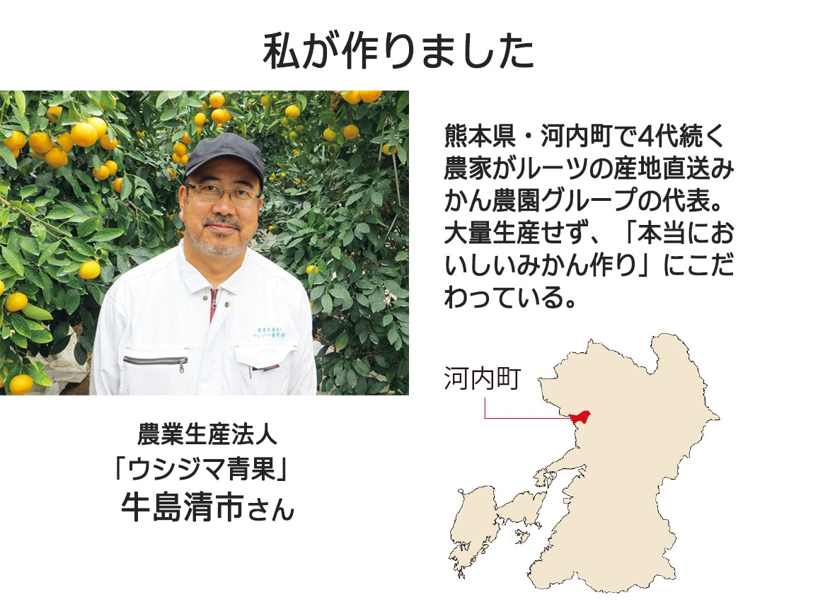 【送料込み価格】熊本「ウシジマ青果」だるまみかん(2.5�s)(おせちと一緒に購入) 【送料込み価格】熊本「ウシジマ青果」だるまみかん(2.5�s)(おせちと一緒に購入)